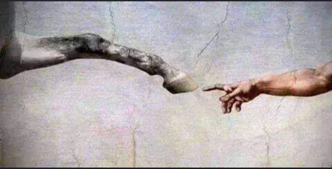 screenshot 20231104 092605 facebook